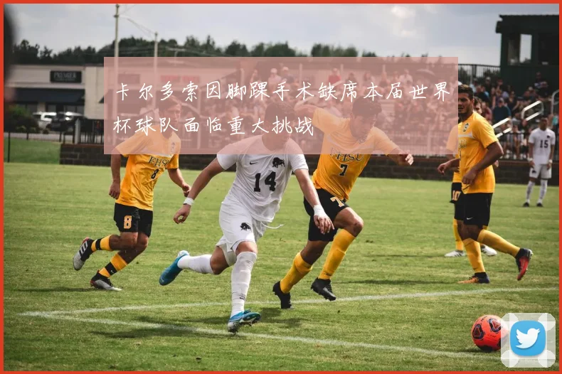 卡尔多索因脚踝手术缺席本届世界杯球队面临重大挑战